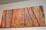Randy Redekopp Photography